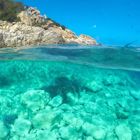 Дом отдыха Casa Pau Порто-Оттиолу