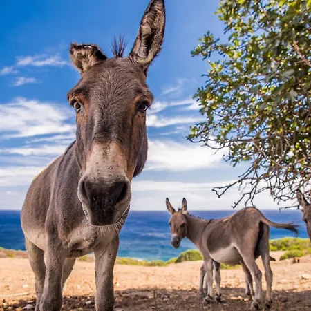 Дом отдыха Casa Pau *