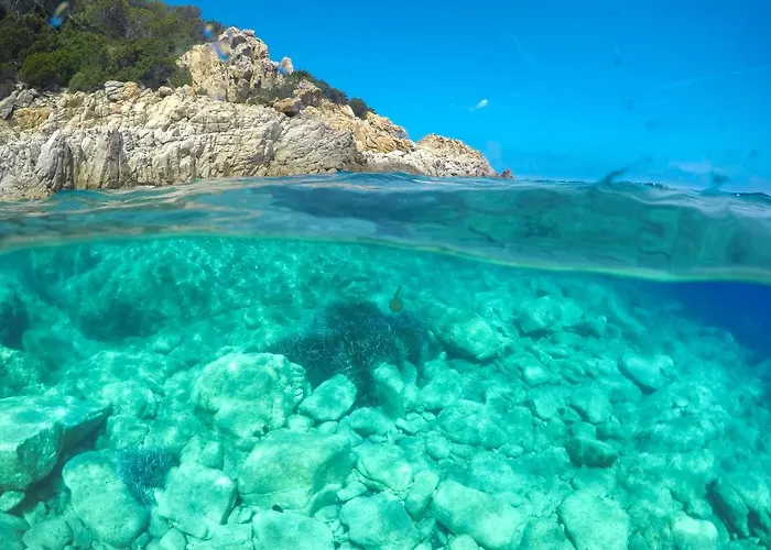 Сasa de vacaciones Casa Pau Porto Ottiolu