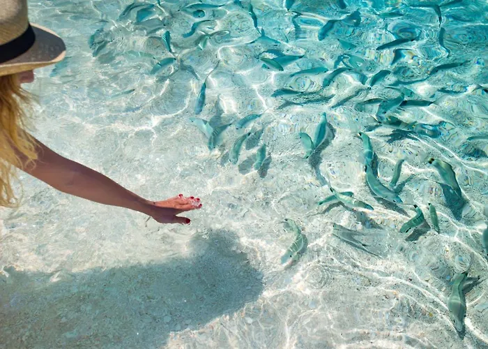 Сasa de vacaciones Casa Pau