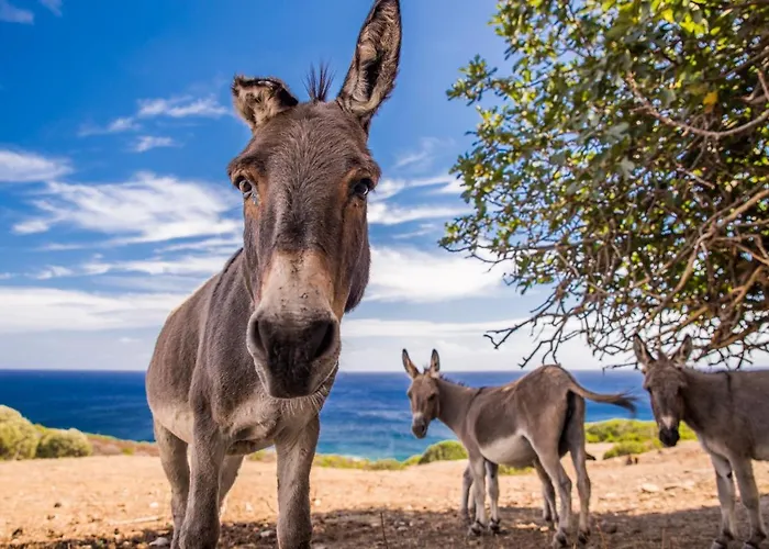 Сasa de vacaciones Casa Pau *